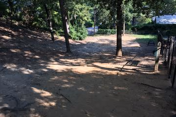 Dog Park at Emily Douglas Park
